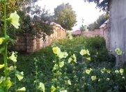 Satılır 12 sot torpaq İsmayıllı