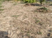 Satılır 10 sot torpaq Sumqayıt