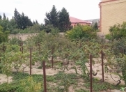Satılır 3 otaqlı 50 m2 bağ evi Novxanı