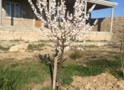 Satılır 4 otaqlı 230 m2 bağ evi Şüvəlan