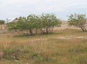 Satılır 10 sot torpaq Nardaran