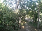 Satılır 3 otaqlı 16000 m2 həyət evi Lökbatan