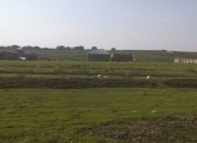 Satılır 4 sot torpaq Mehdiabad