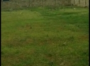 Satılır 6 sot torpaq Hökməli