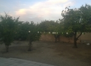 Satılır 3 sot torpaq Sumqayıt