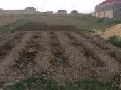 Satılır 8 sot torpaq Qobu