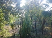 Satılır 5 otaqlı 160 m2 həyət evi Qax