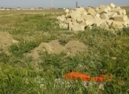 Satılır 3 sot torpaq Müşfiqabad