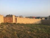 Satılır 10 sot torpaq Badamdar