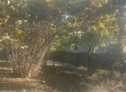 Satılır 6 sot torpaq Zaqatala