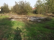 Satılır 6 sot torpaq Masallı