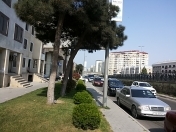 Satılır 1 otaqlı 583 m2 obyekt Zərifə Əliyeva adına park