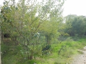 Satılır 24 sot torpaq Gədəbəy