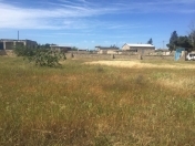 Satılır 12 sot torpaq Zirə