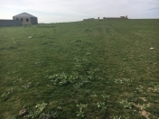 Satılır 10 sot torpaq Mehdiabad