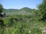 Satılır 6 sot torpaq Xızı