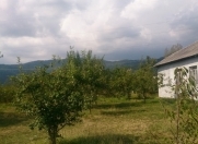 Satılır 3 otaqlı 200 m2 həyət evi Qəbələ