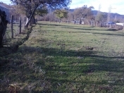 Satılır 22 sot torpaq Quba