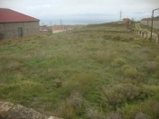 Satılır 7 sot torpaq Badamdar