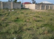 Satılır 3.54 sot torpaq Sumqayıt