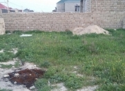 Satılır 2 sot torpaq Binə