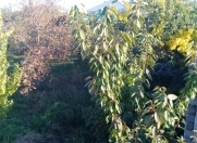 Satılır 16 sot torpaq Xaçmaz