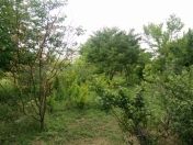 Satılır 24 sot torpaq Fatmayı