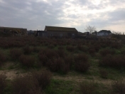 Satılır 18 sot torpaq Bilgəh