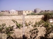 Satılır 3 sot torpaq Saray
