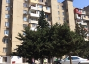 Satılır 2 otaqlı 60 m2 yeni tikili 9 mkr