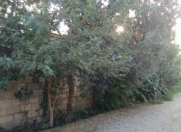 Satılır 2.5 sot torpaq Rəsulzadə