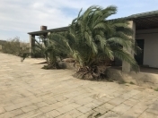 Satılır 3 otaqlı 100 m2 bağ evi Bilgəh