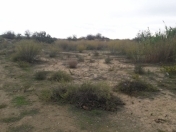 Satılır 12 sot torpaq Kürdəxanı