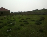 Satılır 12 sot torpaq 4 mkr