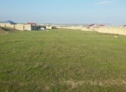 Satılır 11 sot torpaq Zirə