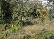 Satılır 8 sot torpaq Həzi Aslanov