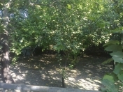 Satılır 6 otaqlı 6000 m2 həyət evi Şamaxı