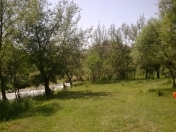 Satılır 10 sot torpaq Zaqatala