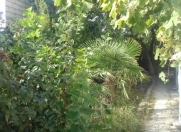 Satılır 3 otaqlı 15 m2 həyət evi Binə ticarət mərkəzi