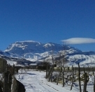 Satılır 15 sot torpaq Qusar