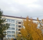 Satılır 3 otaqlı 60 m2 köhnə tikili Naxçıvan