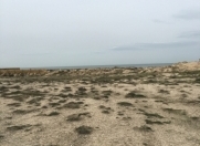 Satılır 30 sot torpaq Görədil