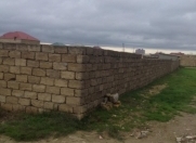 Satılır 10 sot torpaq Digah