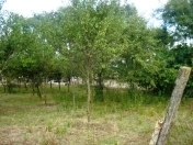 Satılır 6 sot torpaq Bərdə