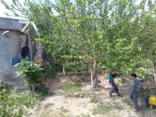 Satılır 5 otaqlı 200 m2 həyət evi Zığ