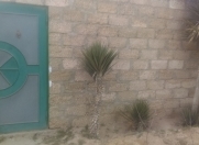 Satılır 1 otaqlı 200 m2 həyət evi Maştağa