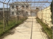 Satılır 7 otaqlı 200 m2 bağ evi Novxanı