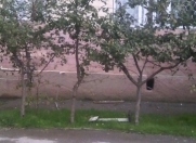 Satılır 3 otaqlı 76 m2 köhnə tikili Badamdar