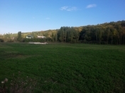 Satılır 40 sot torpaq Qusar