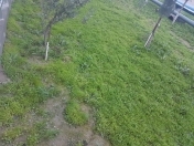 Satılır 1.5 sot torpaq Ümid